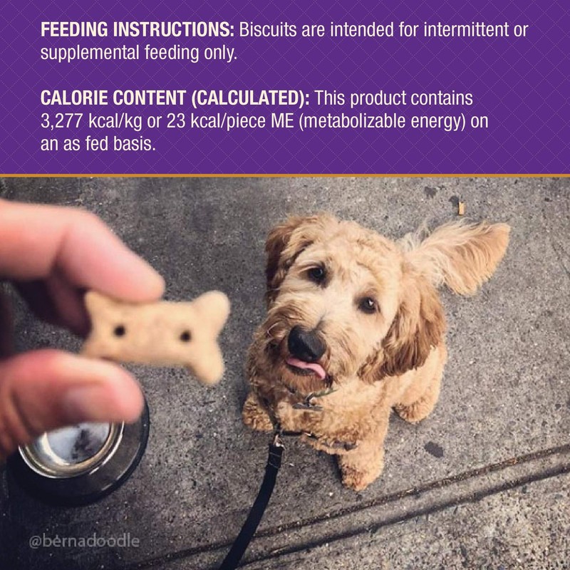 Old Mother Hubbard Treat