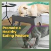 NAHANGPET 2-in-1 Elevated Slow Feeder Dog Bowls for Food and