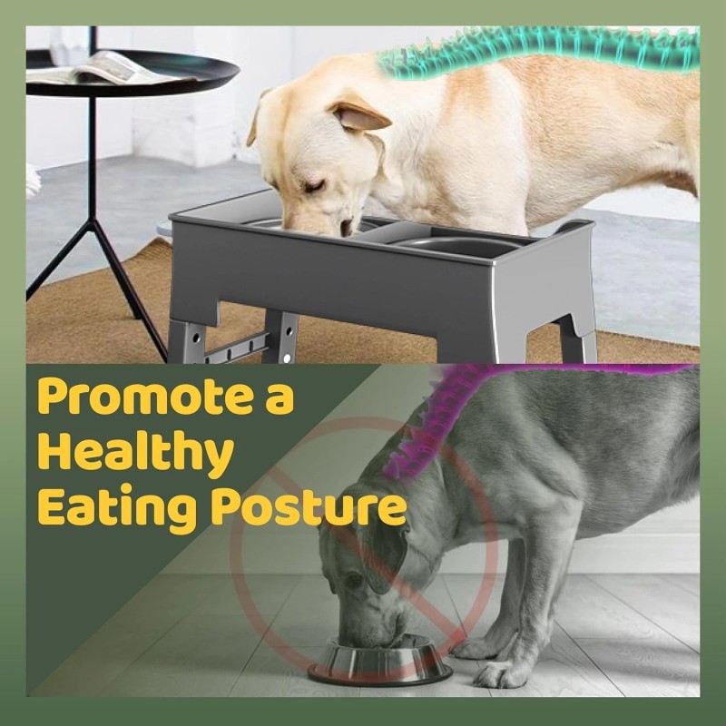 NAHANGPET 2-in-1 Elevated Slow Feeder Dog Bowls for Food and