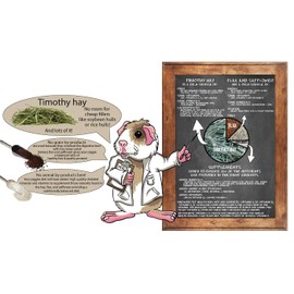 Sherwood Pet Health Adult Guinea Pig Food - Free Choice Timothy Pellet (20 lb)