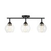 Globe Electric 59619 Harrow 3-Light Track Lighting, Matte Black, Antique