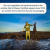 Maine Coast Sea Vegetables Organic Dulse Powder | Seaweed |