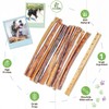 Nature Gnaws Bully Sticks for Large Dogs - Premium Natural