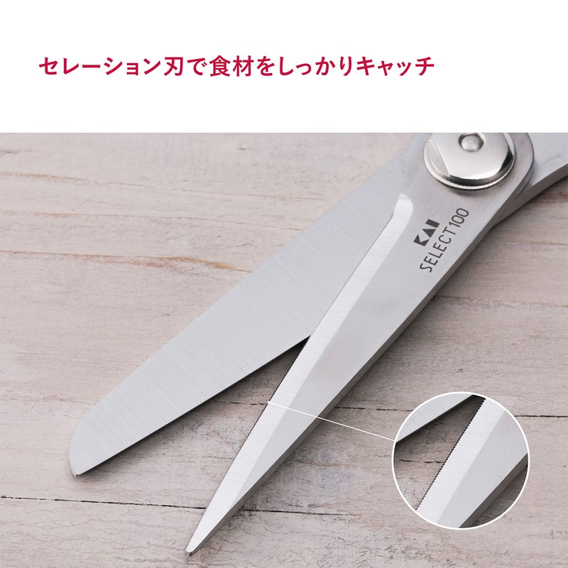 Kitchen Scissors (DH-3005)
