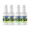 pH-Ree Fall - 4 Quarts - Multi-Pack Acid Solution for