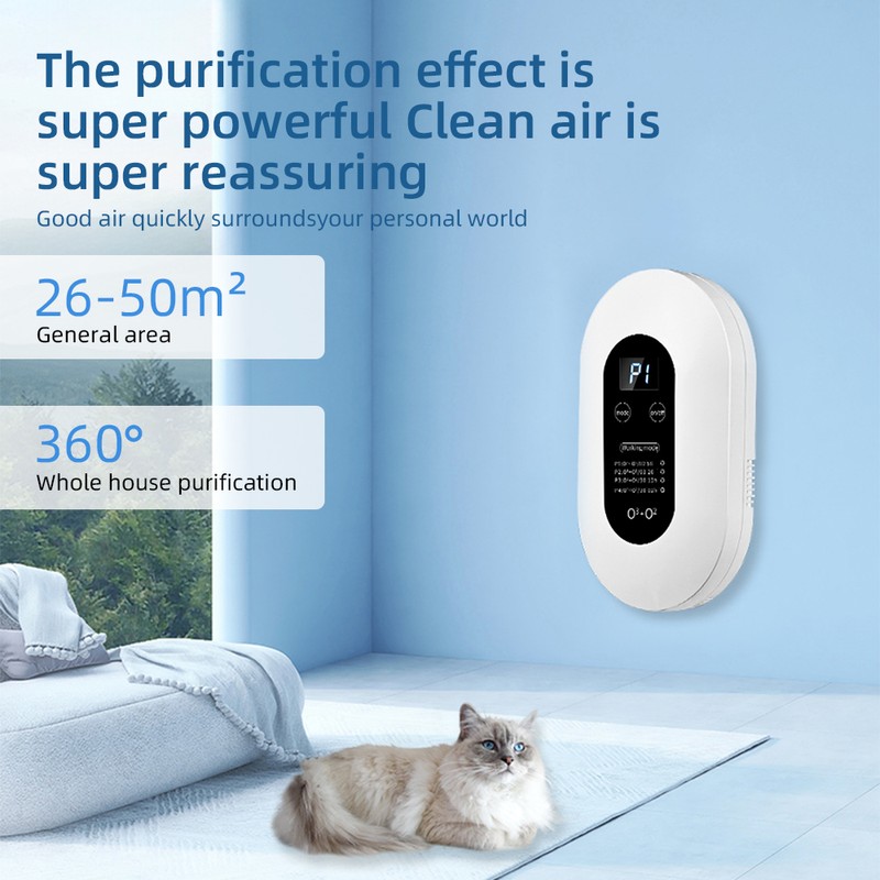 Negative Ion Air Purifier Eliminates Smoke and Odor Formaldehyde 4