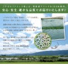 純国産 クロレラ 100％ 粒 1ｋｇ 無添加 スーパーフード 1粒200ｍｇ（約5000粒） [02]NICHIGA(ニチガ) 国産クロレラだけをそのまま粒状