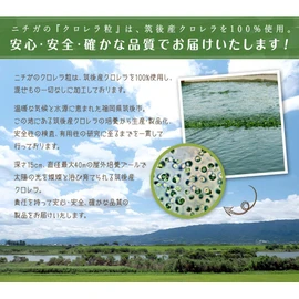 純国産 クロレラ 100％ 粒 1ｋｇ 無添加 スーパーフード 1粒200ｍｇ（約5000粒） [02]NICHIGA(ニチガ) 国産クロレラだけをそのまま粒状