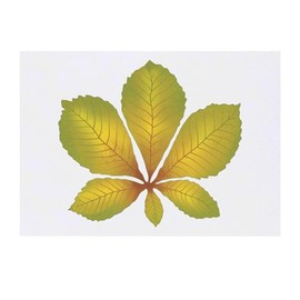 'Autumn Chestnut Leaf' Temporary Tattoo - Water Resistant, Skin-Safe, Non-Toxic Transfer (TO00064169)