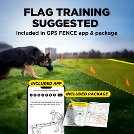 Dogtra Training Flags for GPS Fence/SMART Fence – 50-Pack Neon Orange Boundary Markers – Flexible, Weather-Resistant Yard Flags for Wireless Fence Training, Pet Containment, Safe Outdoor Setup