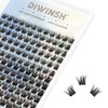 DIWINSH Lash Clusters Wispy Eyelash Clusters 144pcs 10-12mm Cluster Eyelash Extensions D Curl Natural Volume Lash Extensions DIY Reusable Individual Lashes Clusters with Soft Thin Band (MQ-10-12mm)