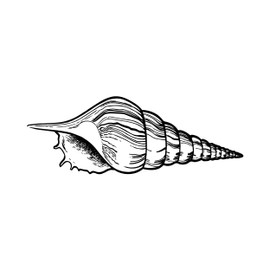 NEWSTAMPS Stamp Shell 02 Large Wooden & Rubber Stamp for Cards and Gifts Making, Wooden Stamp for Water, Maritime & Sea, Scrapbook, Textile Stamp, Decoration, Children