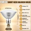 PAR30 Short Neck Halogen Flood Light Bulbs, 2 Pack 120V