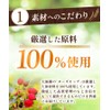 Tea no Daifukuen Rose Hip Tea Bag Rose Hip Herbal