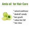 Salvia Amla (Emblica Officinalis) Essential Oil 100% Pure & Natural