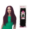 Laude Crochet Braids African Roots Braid Collection Micro Locs 18"