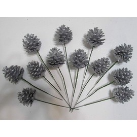 Natural Pinecones with Floral Pick - Premium Quality 2 Inch Pinecones with 5" Green Wired Pick - Set of 12 (Silver Glitter)