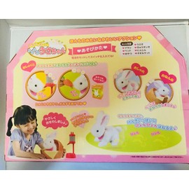 Take Care! Fluffy Bunny