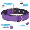 Didog Dog Collar, Waterproof Soft Padded Strong Small Dog Collars