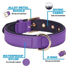 Didog Dog Collar, Waterproof Soft Padded Strong Small Dog Collars with Metal Buckle, Lightweight and Breathable Dog Collars for Small Dogs, Purple, S
