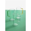Ichendorf Milano Clear Jug with Green Handle Collection Tube Colour