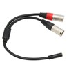 Dual XLR Male to 3.5mm Female Stereo Cable, Professional Balanced
