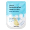 Diatomaceous Earth Disposable Modeling Pack Cool 28g / 규조토 일회용 모델링팩 쿨 28g