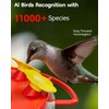 LongPlus® Hummingbird Feeder with Camera, Ant Moat, Bee Proof, Bird
