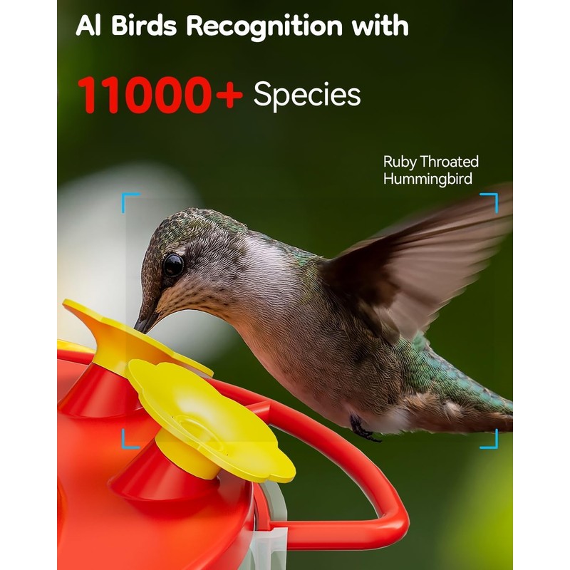 LongPlus® Hummingbird Feeder with Camera, Ant Moat, Bee Proof, Bird
