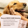 Natural Dog Company Skin Soother Wipes, 100 Count, Pet Wipes