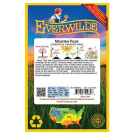 Everwilde Farms - 2000 Mountain Phlox Native Wildflower Seeds - Gold Vault Jumbo Seed Packet
