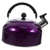 Gatuida Whistling Kettle Stainless Steel Spherical Boiling Pot for Kitchen