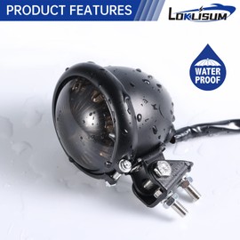 LOKLISUM 8 LED Mini Motorcycle Tail Light Brake Tail Light Universal for Street Bike Chopper Bobber Cafe Racer Cruiser CB1300 883 Iron