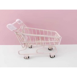 Lash Studio - Mini Shopping Trolley Cart