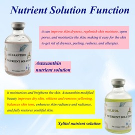 Eitzia Oxygen Infusion Device Professional Oxygen Facial Appliance Nutrient Solution SPA Skincare Oxygen Facial Anti Aging Beauty Salon Machine Astaxanthin