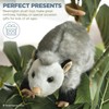 Bearington Collection Bearington Harry Plush Opossum Stuffed Animal, 9 Inch
