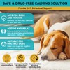 Woyamay Dog Calming Diffuser - Dog Pheromones Calming Diffuser for