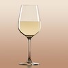 Lenox Tuscany Classics 4pc Pinot Grigio Glass Set, 2.55 LB,