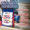PROLABS – EAA Aminoacidi Essenziali AMINO ESSENTIAL Fermentati Polvere 100%