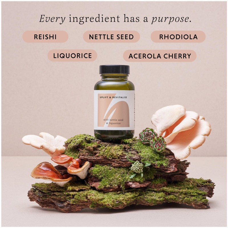 The Herbtender Uplift & Revitalise - Natural Fatigue Fighter, Adaptogens