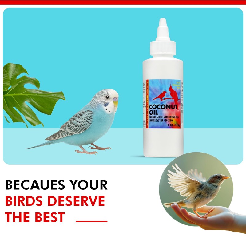 Morning Bird Coconut Oil for Birds 4 oz – Supports