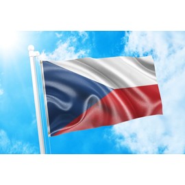 DMSE Czech Republic Czechoslovak Czechoslovakia Czechoslovakian Flag 2x3 Ft Foot 100% Polyester 100D Flag UV Resistant (2' X 3' Ft Foot)