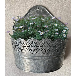 Lily's Home Indoor Outdoor Wall Mounted Planter with Floral Accents for Succulents, Cacti, Herbs, Faux Plants, Galvanized Metal. Plants Not Included