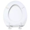 Glacier Bay Elongated Enameled Wood Closed Front Toilet Seat White