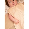 Meyco Baby Branches 100% Jersey Cotton Fitted Sheet (Extra Soft,