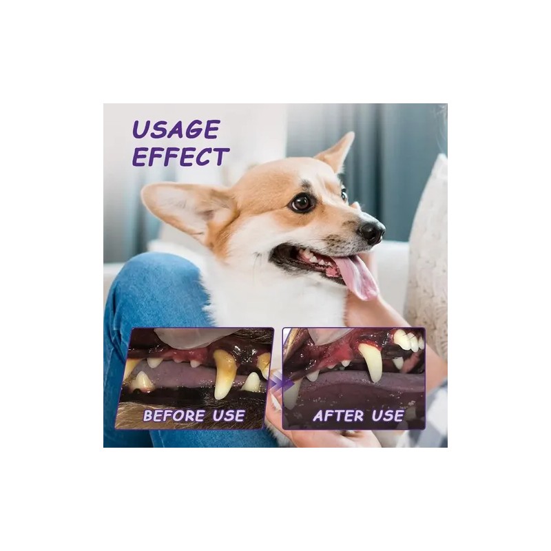 2 Pet Dog Teeth Cleaning Toothpaste