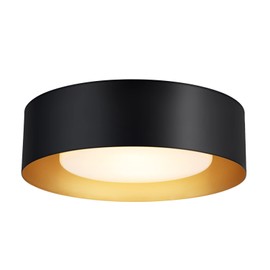 Goomavi Modern Flush Mount Ceiling Lights,Minimalist 12.5IN Round Close to Ceiling Light Fixture,Black and Gold Metal Ceiling Lighting Lamp for Entryway,Hallway,Kitchen,Bedroom