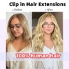 Clip in Hair Extensions Real Human Hair Straight Hair 100%