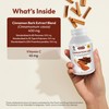 ANDREW LESSMAN Cinnamon 400mg - 60 Capsules - High Potency,