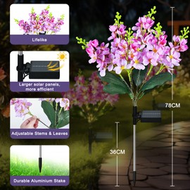 FWLWTWSS Solar Lights Outdoor Garden, 2 Pack Violet Solar Flowers Waterproof,10-12 Hours Working Time, Garden Ornaments Outdoor for Patio, Yard, Pathway(Purple)
